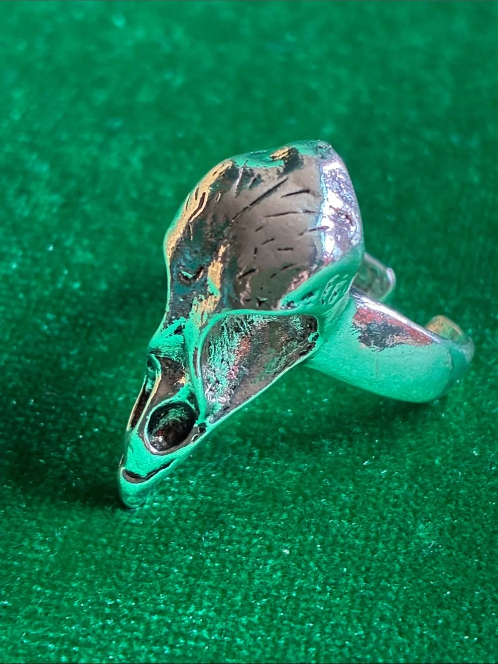 Gothic raven crow skull adjustable ring in silvertone Edgar Allan Poe inspired